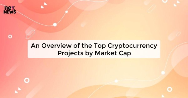 An Overview of the Top Cryptocurrency Projects by Market Cap