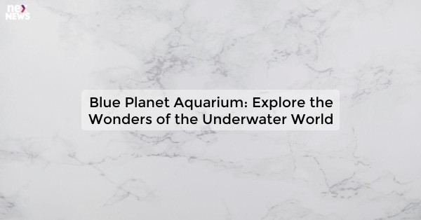 Blue Planet Aquarium: Explore the Wonders of the Underwater World