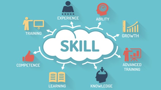 CAPACITY BUILDING AND SKILL DEVELOPMENT SCHEME (IT)