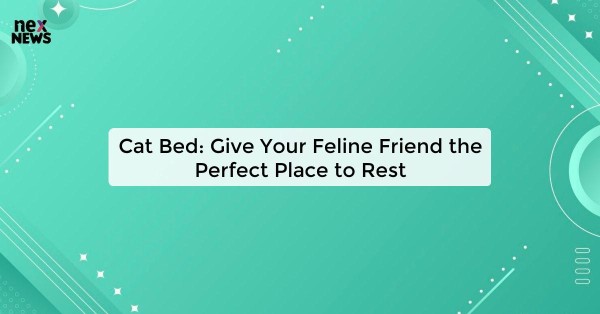 Cat Bed: Give Your Feline Friend the Perfect Place to Rest