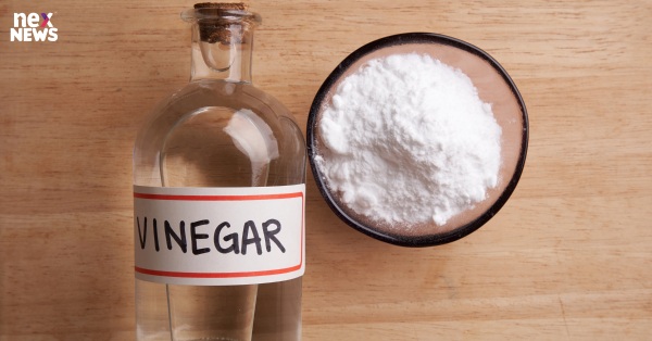 Cleaning Vinegar vs. White Vinegar: Uses Around the House