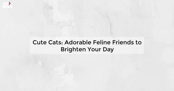 Cute Cats: Adorable Feline Friends to Brighten Your Day