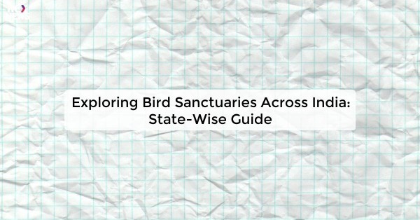 Exploring Bird Sanctuaries Across India: State-Wise Guide