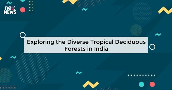 Exploring the Diverse Tropical Deciduous Forests in India