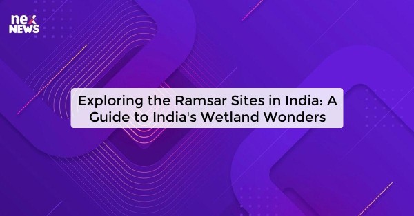 Exploring the Ramsar Sites in India: A Guide to India's Wetland Wonders