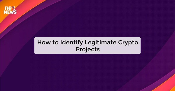 How to Identify Legitimate Crypto Projects