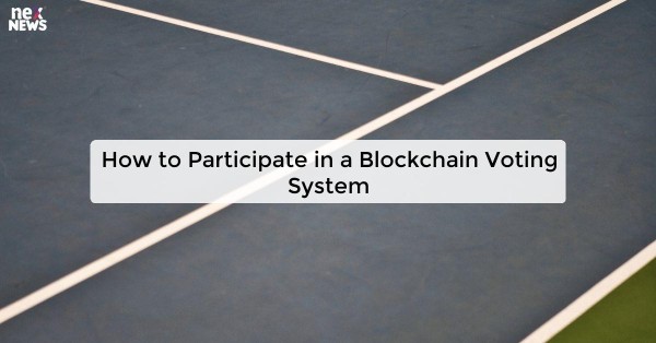 How to Participate in a Blockchain Voting System