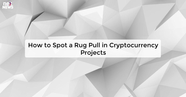 How to Spot a Rug Pull in Cryptocurrency Projects