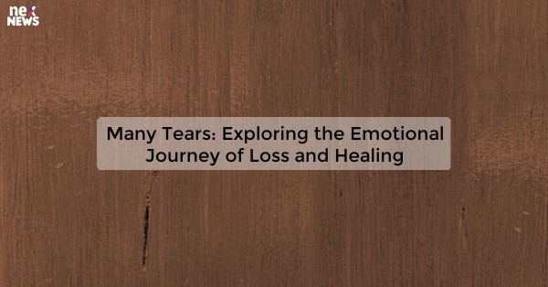 Many Tears: Exploring the Emotional Journey of Loss and Healing