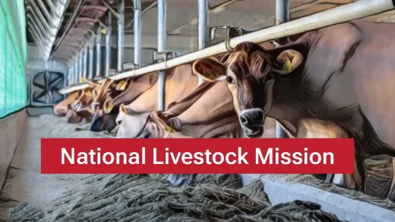 National Livestock Mission (NLM): Enhancing Livestock Development in India