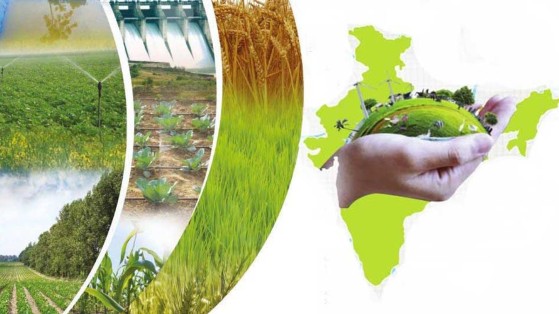 National Mission for Sustainable Agriculture (NMSA): Enhancing Agricultural Resilience