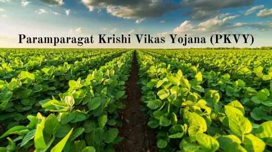 Paramparagat Krishi Vikas Yojana (PKVY): Promoting Organic Farming in India