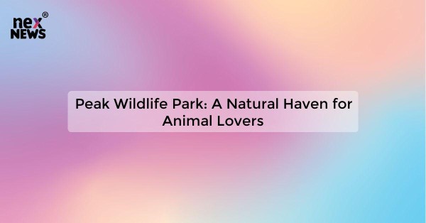 Peak Wildlife Park: A Natural Haven for Animal Lovers