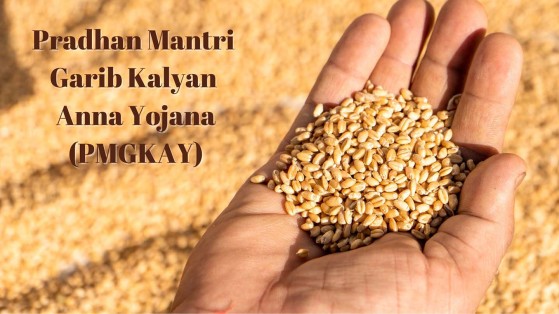 PRADHAN MANTRI GARIB KALYAN ANNA YOJANA (PMGKAY)