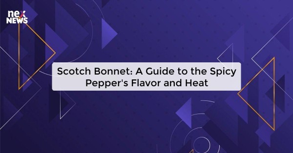 Scotch Bonnet: A Guide to the Spicy Pepper's Flavor and Heat