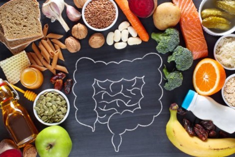 The Role of Gut Health in Overall Well-Being: Key to a Healthy Life