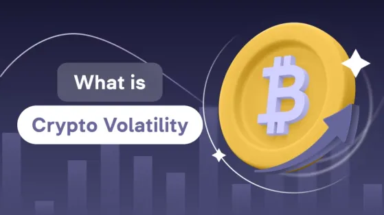 The Volatility of Cryptocurrencies: What Makes Them So Risky?