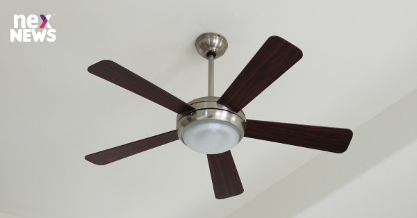 Top Ten Ceiling Fan Brands in India: A Guide to Staying Cool