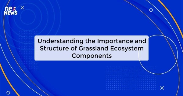 Understanding the Importance and Structure of Grassland Ecosystem Components