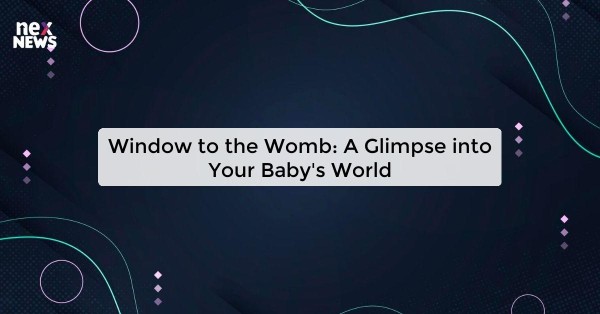 Window to the Womb: A Glimpse into Your Baby's World