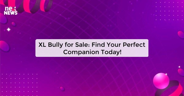 XL Bully for Sale: Find Your Perfect Companion Today!