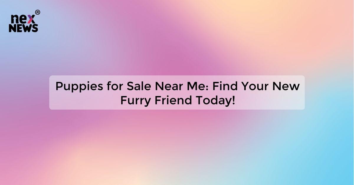 Puppies For Sale Near Me: Find Your New Furry Friend Today! - Best 