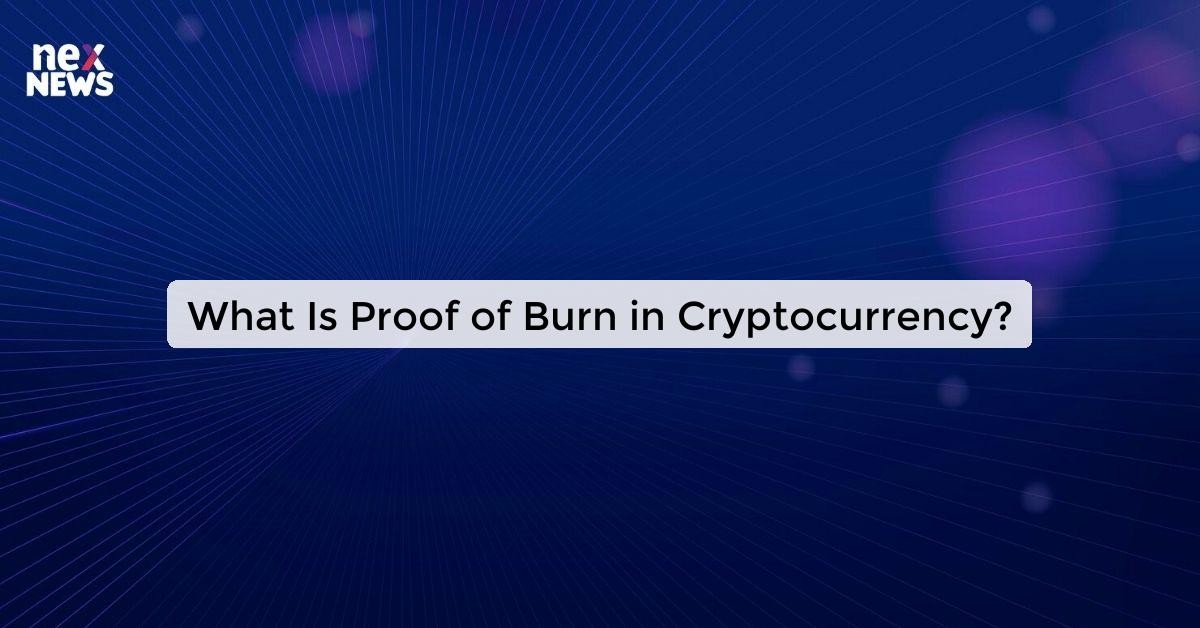 What Is Proof of Burn in Cryptocurrency? Nex News Network